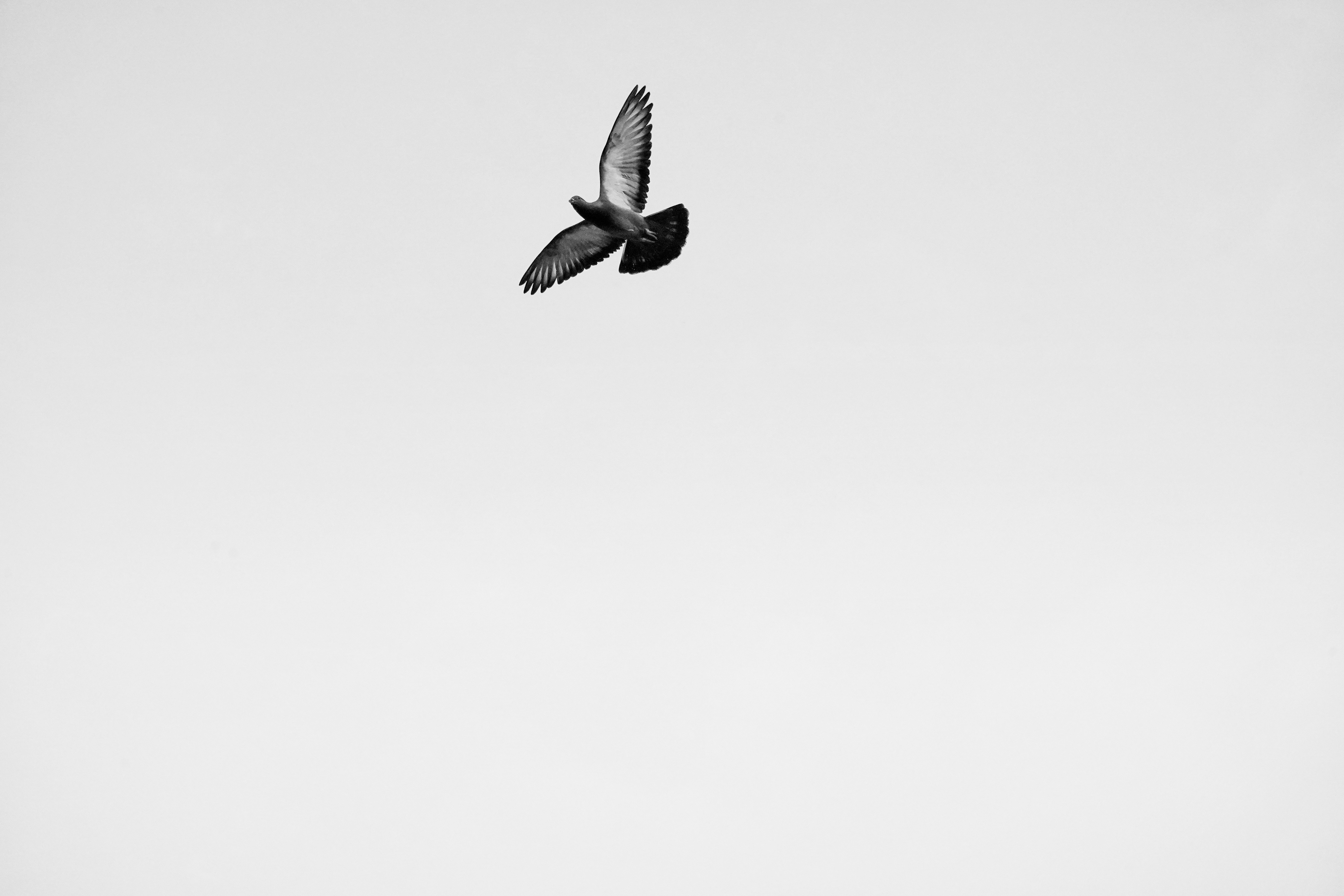 tamilazhagan-Lr7GL0G0BaQ-unsplash